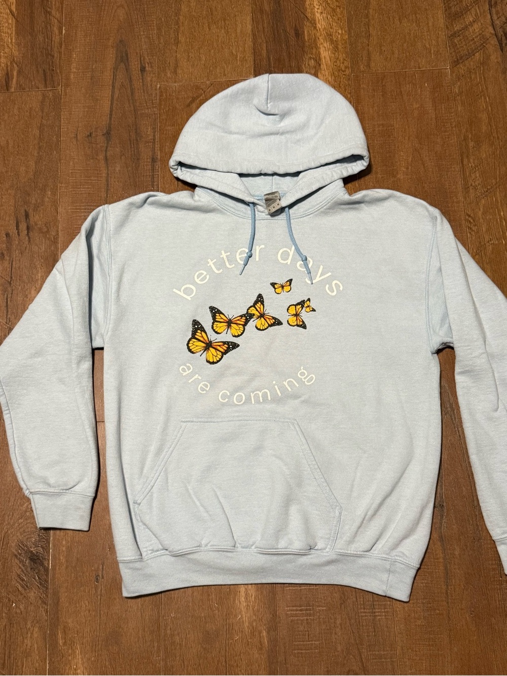 Sophia Corso Hoodie Merch